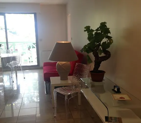 Joli T2 Proche De La Arcachon